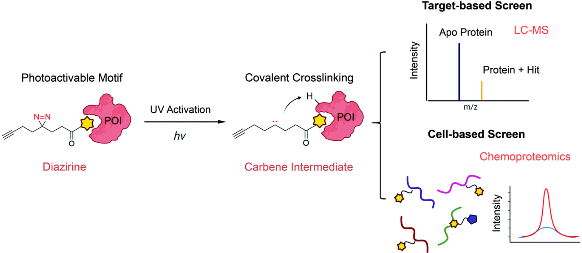 Cysteine Targeted Covalent Library