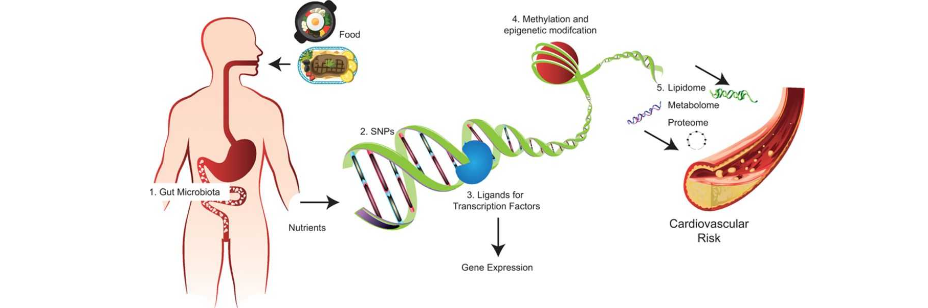 Epigenetics Focused Set