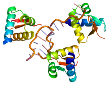 Inhibitors Library. RNA-Protein Interaction.